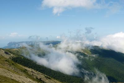 Прикрепленное изображение: aipedro.JPG